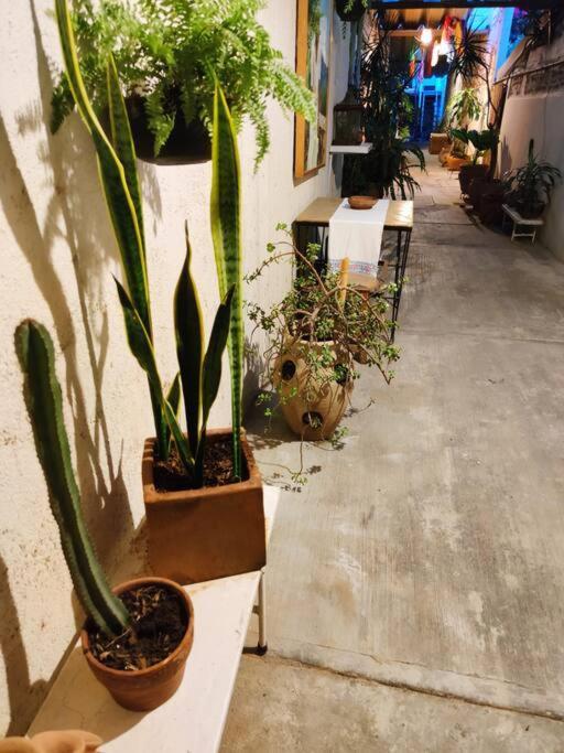 The Azul Flat Room Oaxaca Exterior photo