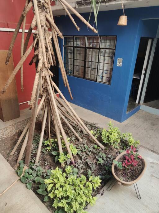 The Azul Flat Room Oaxaca Exterior photo